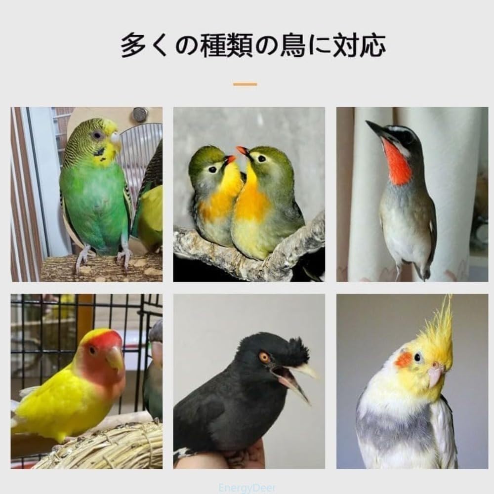 465オウム ｜商品紹介｜豊栄金属工業株式会社 EnergyDeer オウム 虎皮鸚鵡 ヤマガラ専用ケージ 玄鳳 シンシア鳥 飛散防止フード付き 家庭用大型アイアン大容量 スタイリ