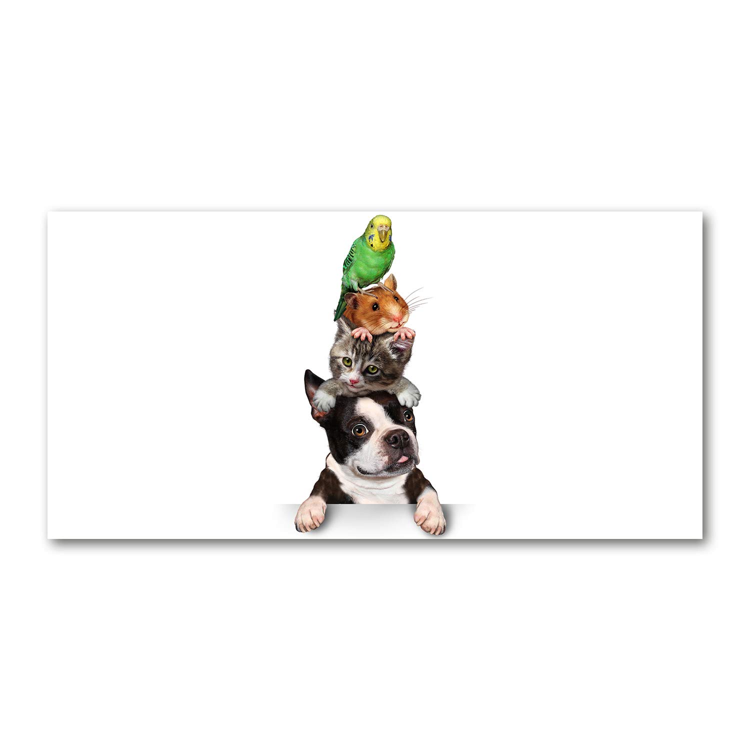 Impression sur verre 120x60 cm tableau panoramique cuisine et salon animaux multicolore
