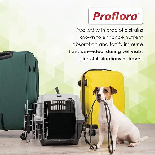 Miniatura 6 de Probióticos Proflora para perros salud intestinal completa y apoyo inmunológico. Probióticos digestivos de múltiples cepas fáciles de usar.