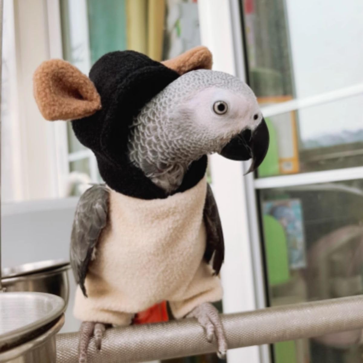 Parrot Clothes Bird Costume Flight Suit, Parrot Costume Cosplay Photo Prop Hoodie for African Greys Parakeet Cockatiel Conure Macaw (M)