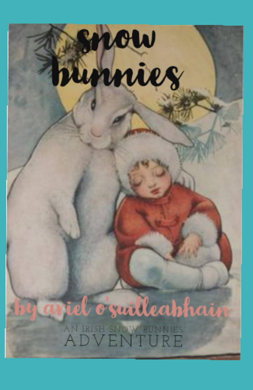 Snow Bunnies: An Irish Snow Bunnies Adventure