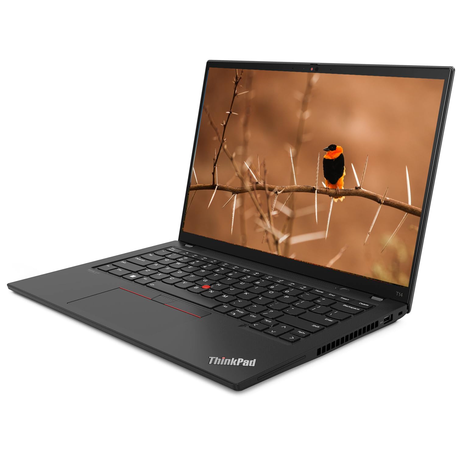 Lenovo Thinkpad T14 Gen 1 Touchscreen Business Laptop, 14" FHD (1920x1080), Intel Core i5-10310U, 16 GB RAM, SSD da 256 GB, Tastiera US QWERTY, Windows 11 Pro (Ricondizionato)