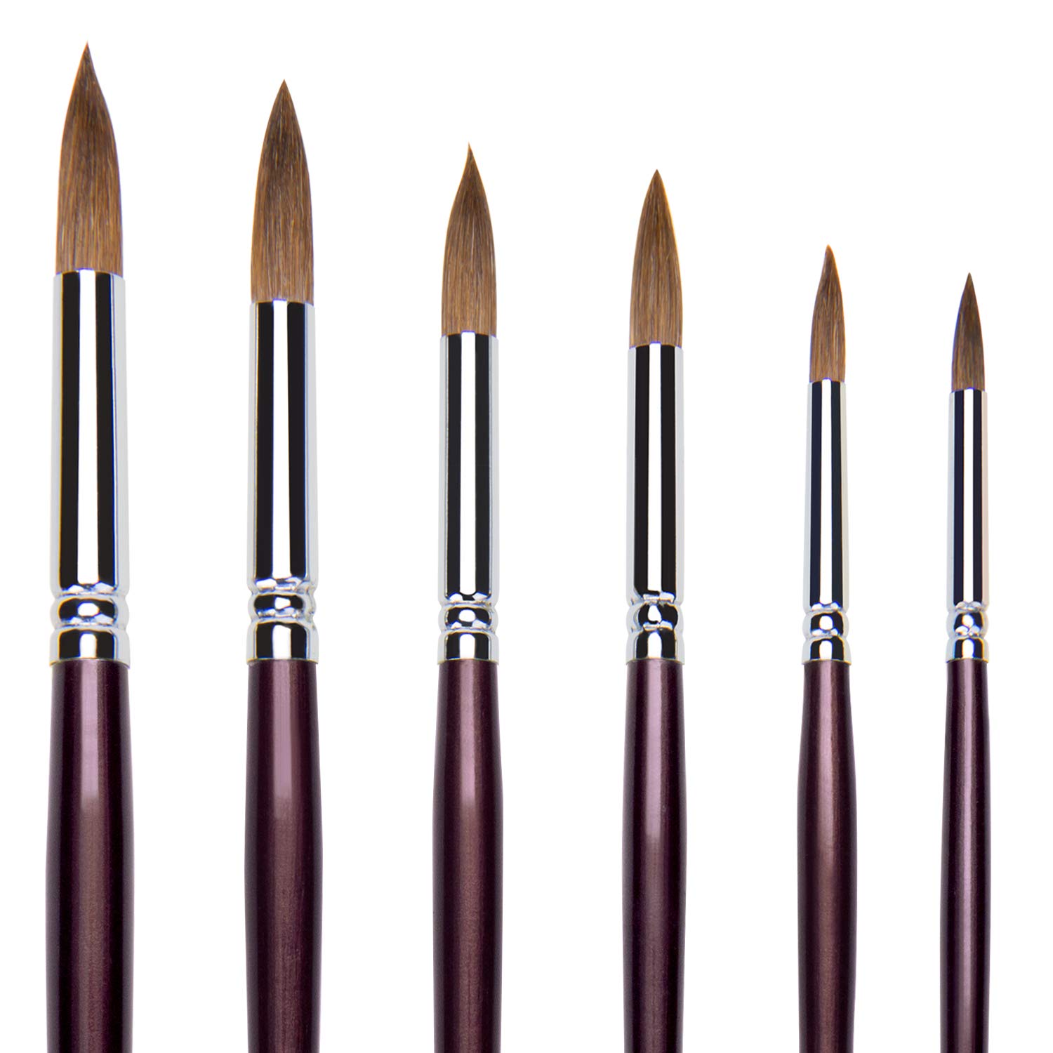 Paint Brushes for Art 6 PCS Artist Paint Brush Set Watercolour Paint Brushes Sable Paint Brushes Perfect for Acrylic Oil Watercolor Painting