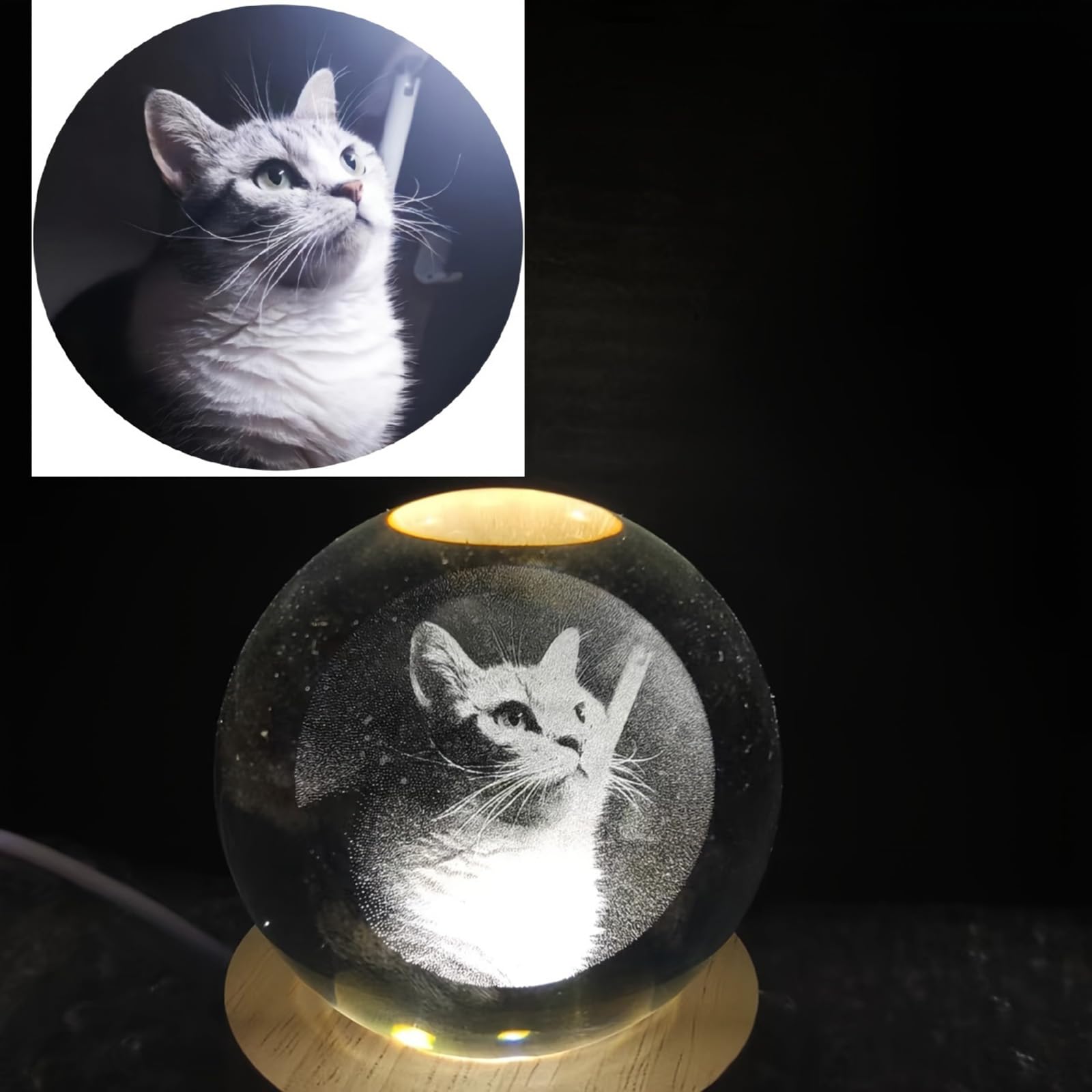 KRUIJHEU Custom Light Up Pet Portrait Lamp β’ Personalized Crystal Globe Keepsake for Dog, Cat, Rabbit β’ Pet Memorial Gift & Pet Lover Decor (6CM)