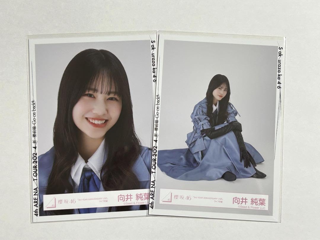 櫻坂46 直筆サイン入り生写真 3rdアニラ衣装 向井純葉 ヨリ 櫻坂46 直筆サイン入り生写真 3rdアニラ衣装 向井純葉 ヨリ