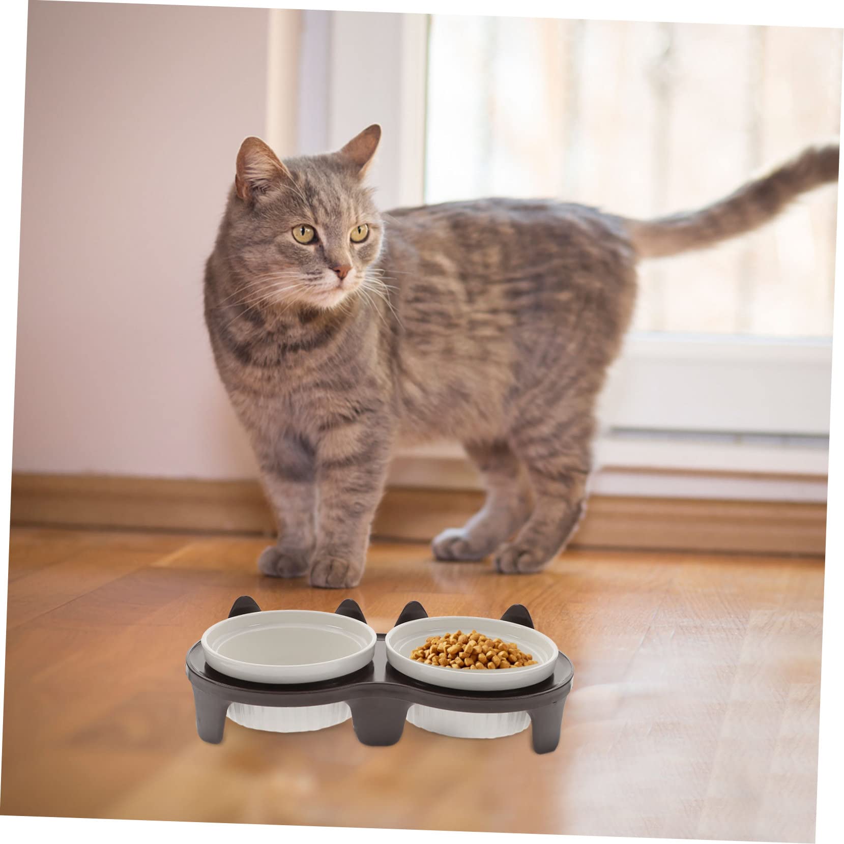 Gamelle Chat Surélevée et Inclinée en Céramique, Lot de 1 Set de Set