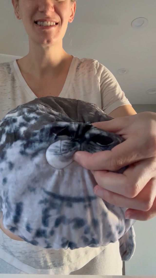 Watch Seal Stuffed Animal on Amazon Live