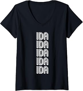 Womens IDA Idaho Falls Airport Travel V-Neck T-Shirt