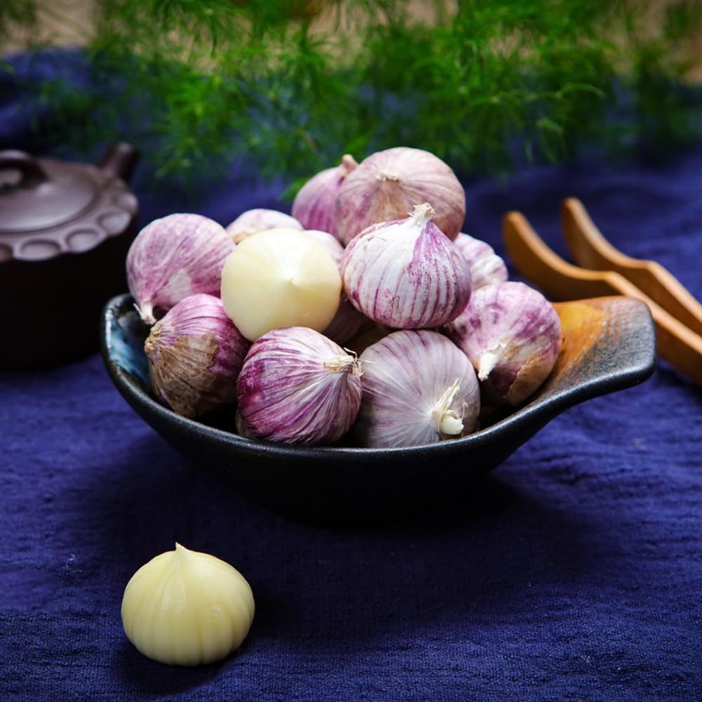 100 pcs knoblauch samen winterhart - Allium sativum - bodendecker samen  winterhart saatgut alte sorten knoblauch zum pflanzen kaufen,  winterknoblauch pflanzknoblauch, smereien gemse, : Amazon.de: Garten