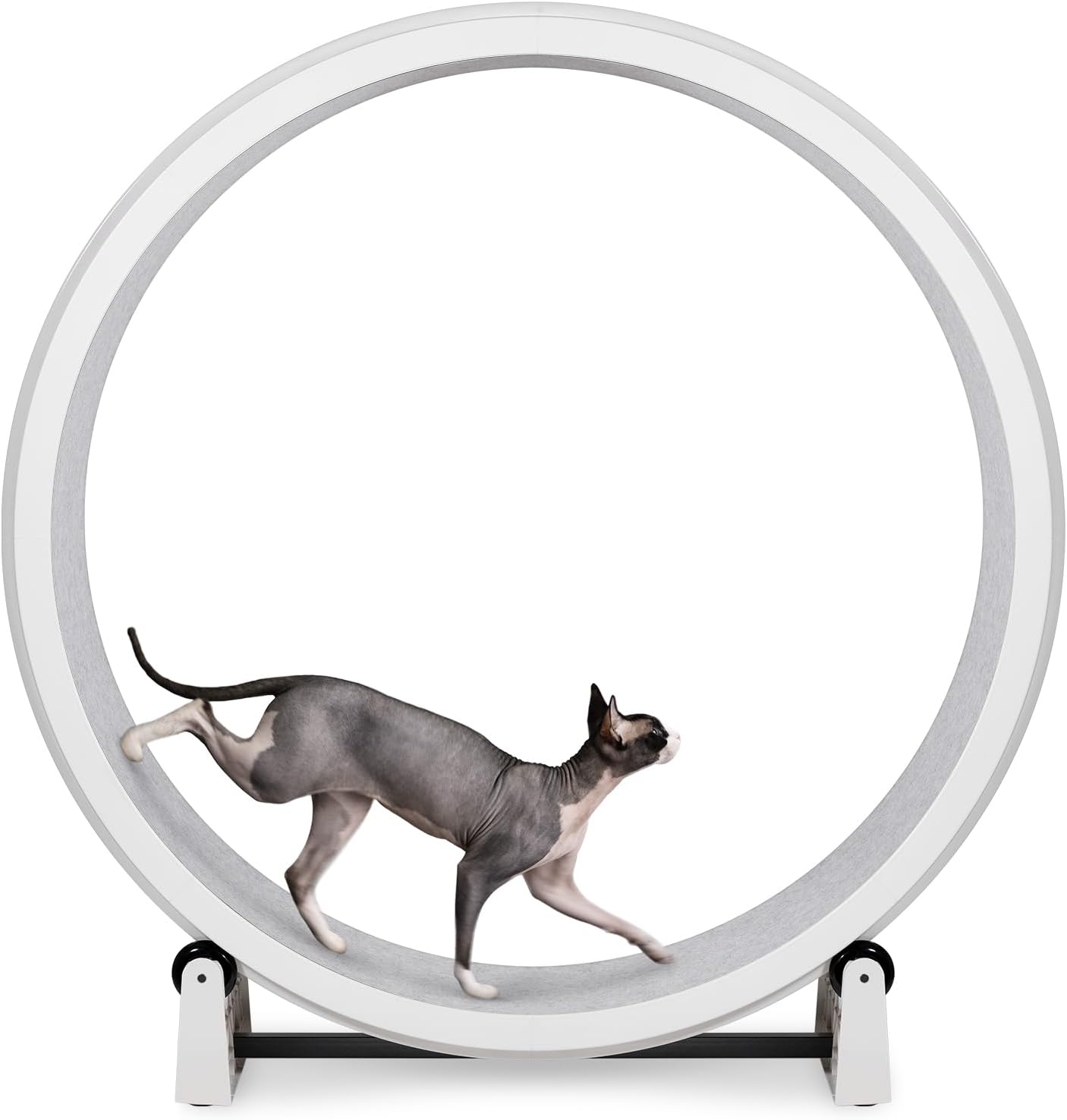 Cat Exercise Wheel - Gen. 7 - Safe 48" Diameter - Made in The USA - White Wheel with Gray Felt Traction Pads and Solid Black Inline Wheels