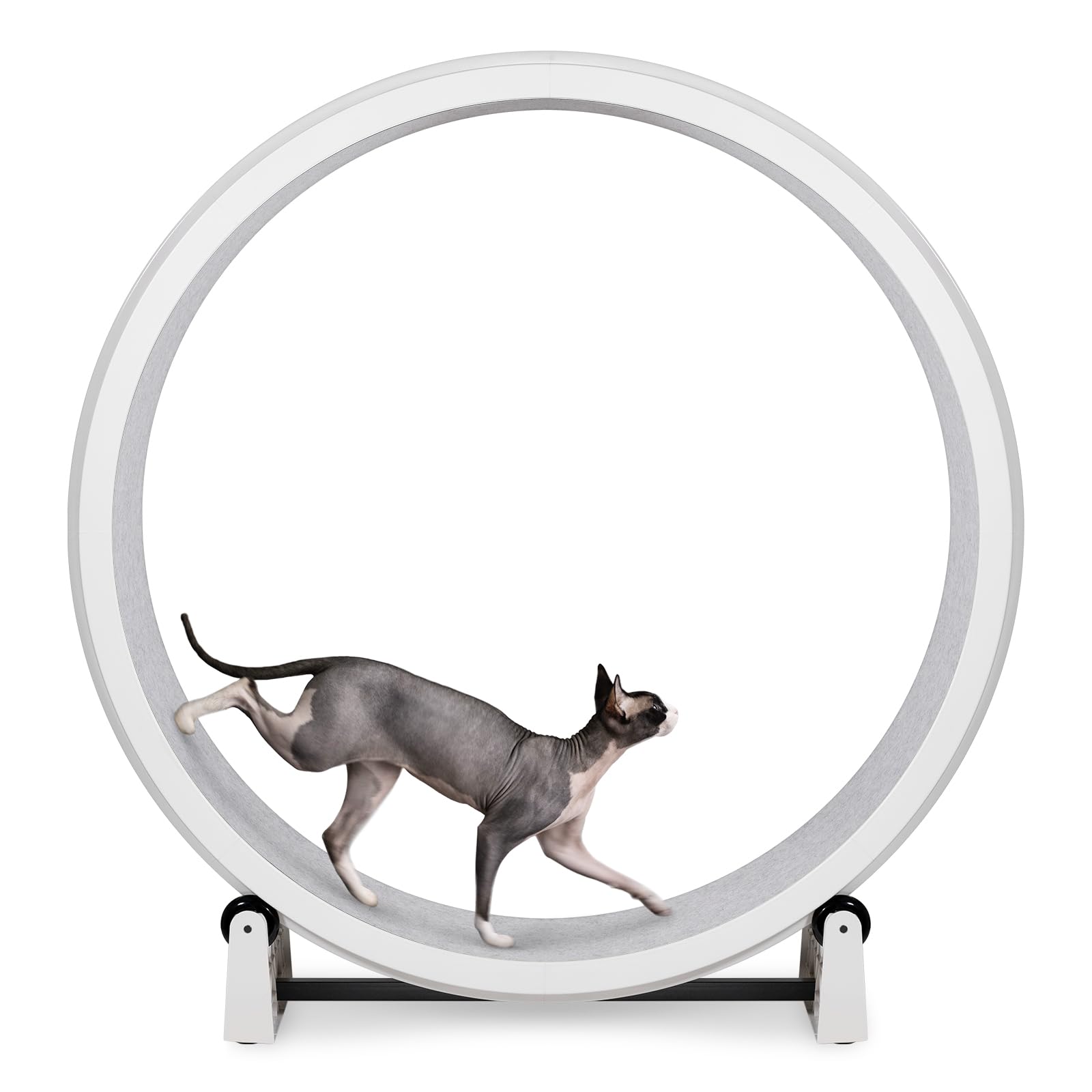 専用　キャットホイール　ONE　FAST　CAT OFC-Cat-Wheel-G7-Black-Base-