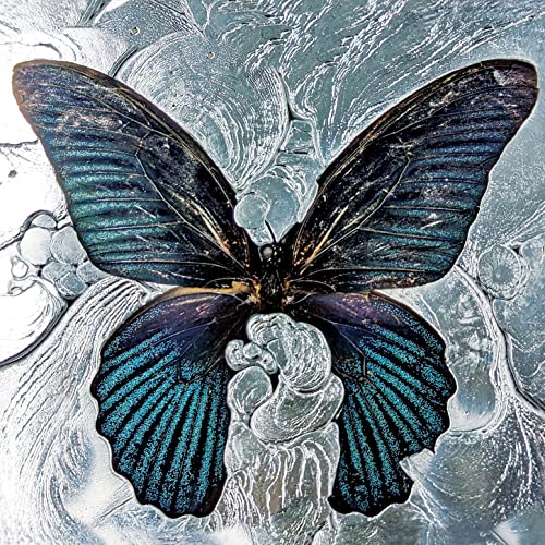 Shygirl feat. Erika de Casier