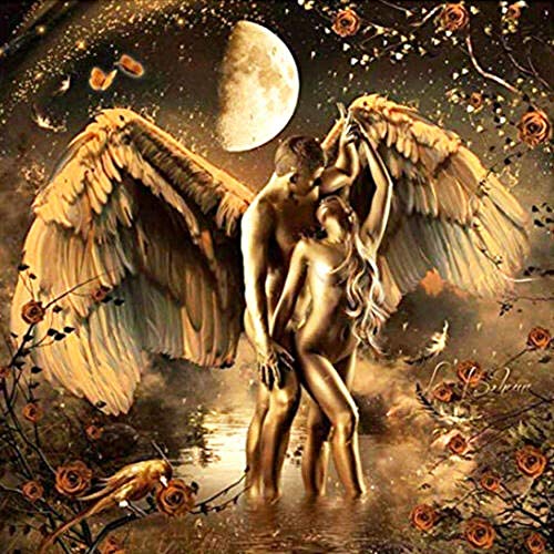 znwrr 1000 Stück Puzzles für Erwachsene Puzzle, Engel Paar in Liebe gebadet Kind PapierMaterial Intellectua Familienspiele Stressabbau Spielzeug DIY Geburtstagsgeschenk 38x26cm Cover