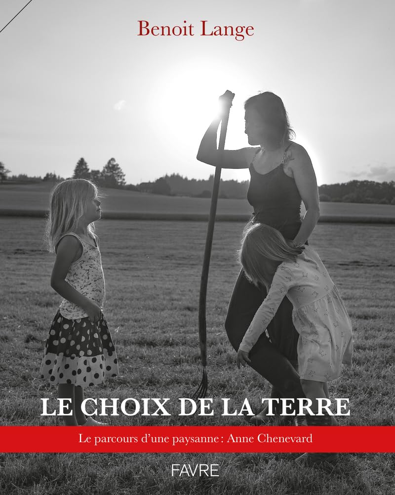 Le choix de la terre : l'élégance de la terre cuite artisanale durable