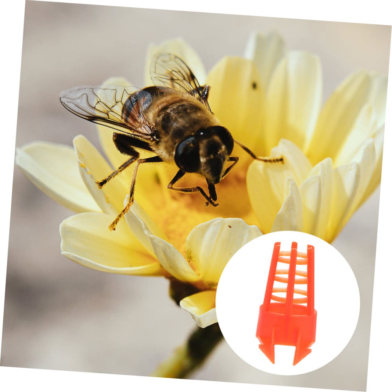 王台 保護 カバー 養蜂家 ツール セル プロテクター 女王蜂 58個 王台