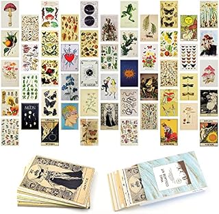 50Pcs Wall Collage Kit,Vintage Posters ,Aesthetic Picture Indie Room Decor Art Posters 4x6 inch for Teens and Young Adults (Ancient)