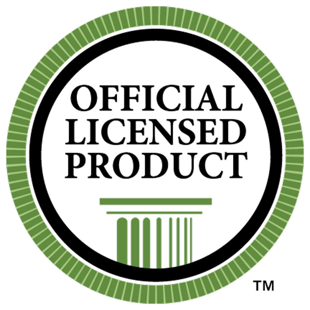 FallTech 836616 D-Ring Extender - Web with Snap Hook and D-Ring, 16