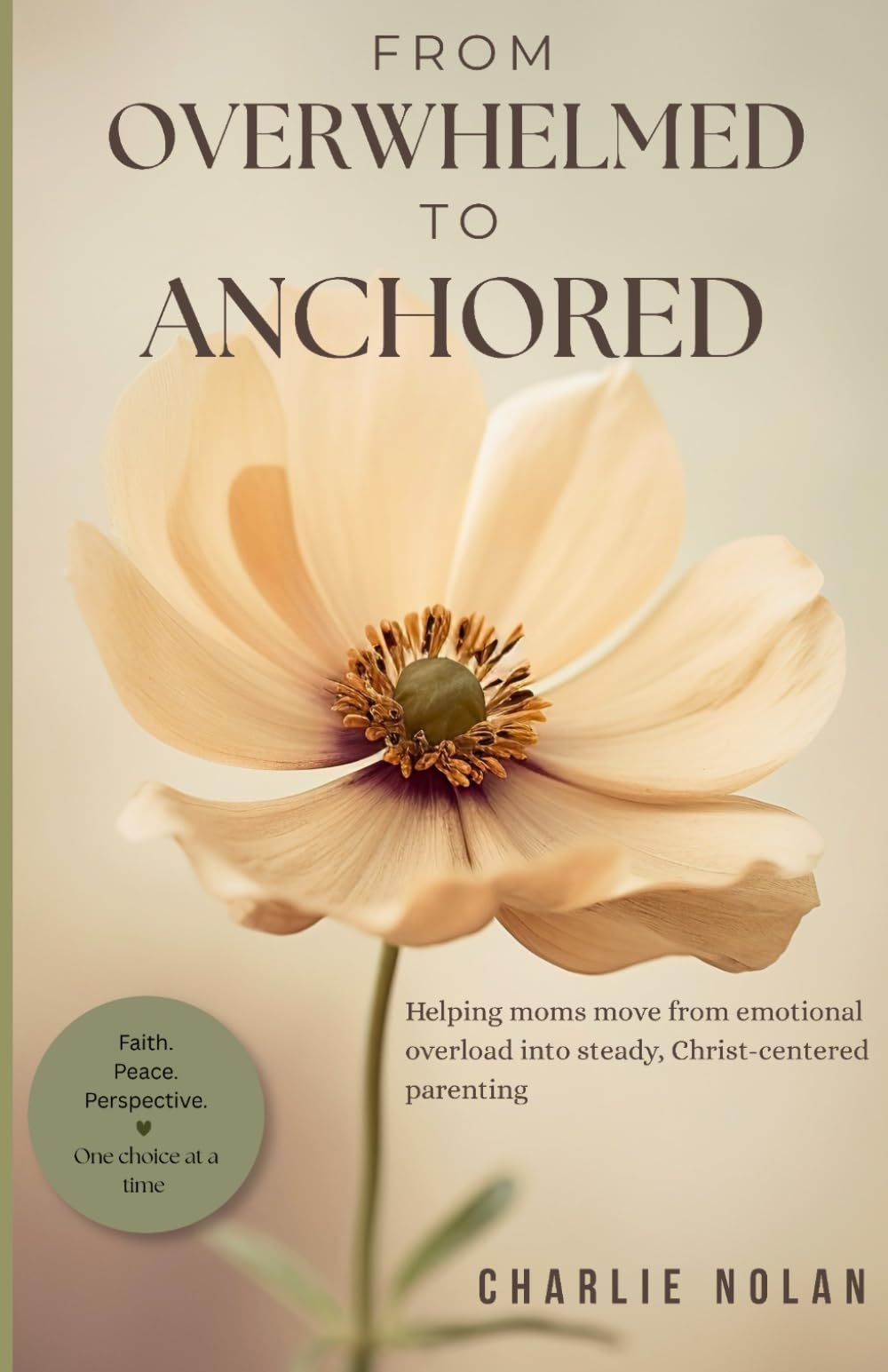 From Overwhelmed to Anchored: Helping moms move from emotional overload into steady, Christ-centered parenting