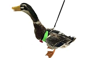 yesito Chicken Harness and Leash - Explore Outdoors with Your Pet Chicken Safely