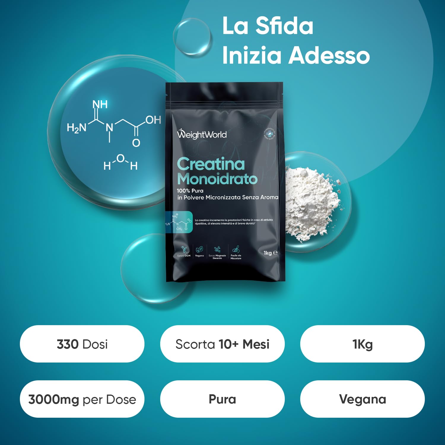 Creatina Monoidrata in Polvere da 1kg Vegana, 3000mg, 330 Dosi (Fornitura di 10+ Mesi) Creatina in Polvere Micronizzata Pura con Misurino, Pre Workout, Intra e Post Workout, Senza Magnesio Stearato