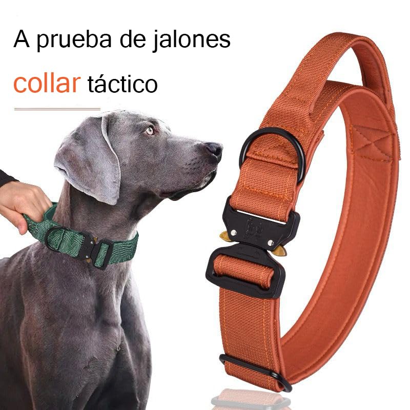 Collares para perros 15 Imagen adicional