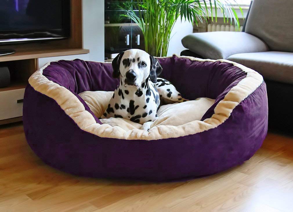 PAWSOME Luxurious & Durable Polyester Filled Soft Dual Colour Dog/Cat Bed (XL, Purpal) L95 X W80 X H25 cm (B08X1B96YD) Amazon Price History, Amazon Price Tracker
