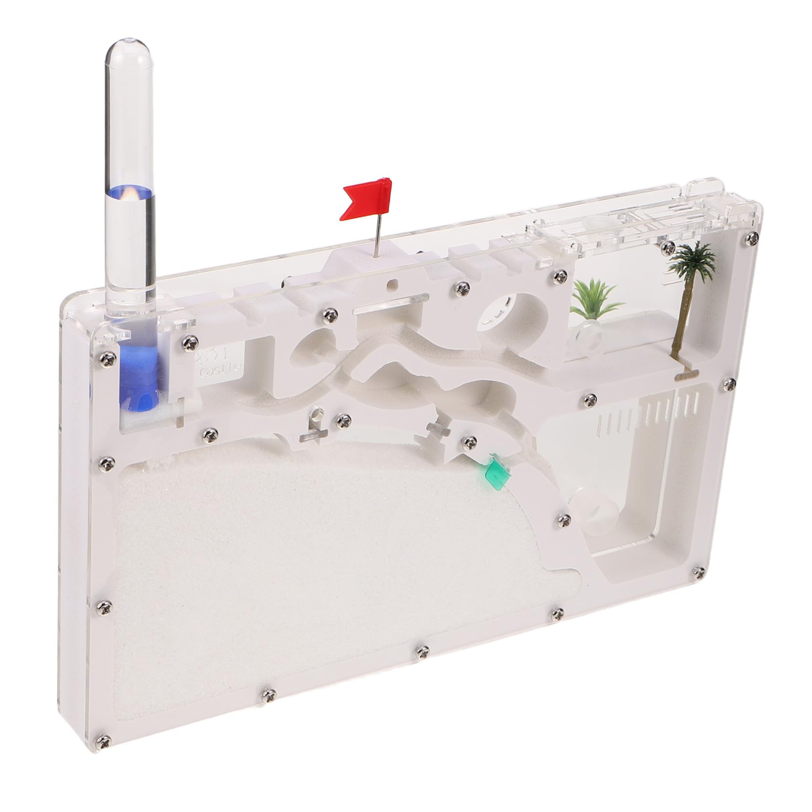 BESPORTBLE Juguetes Ecoeducativos para Exploración al Aire Kit de Terrario y Hormiguero Recinto para Insectos Caja de Observación para Educación y Aprendizaje Interiores