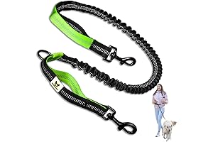 Hundefreund Bungee Extension for Dog Leash - Replacement and Extension Attachment