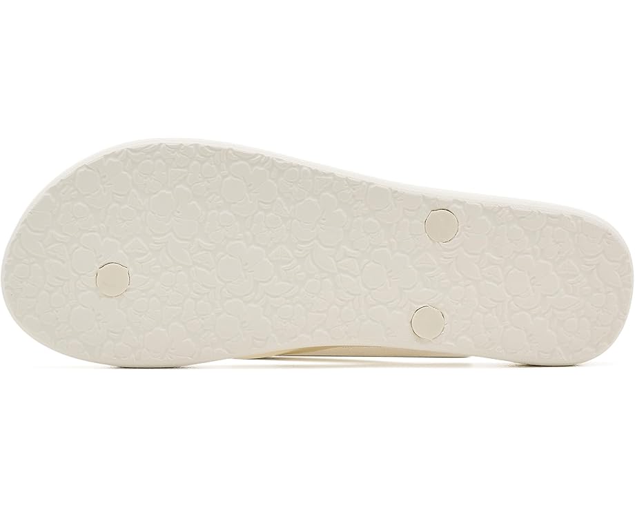 Roxy Tahiti IX - Back View