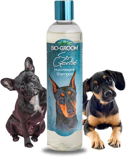 Bio-Groom DBB25012 So Gentle - Champú hipoalergénico para perros y gatos, 12 onzas