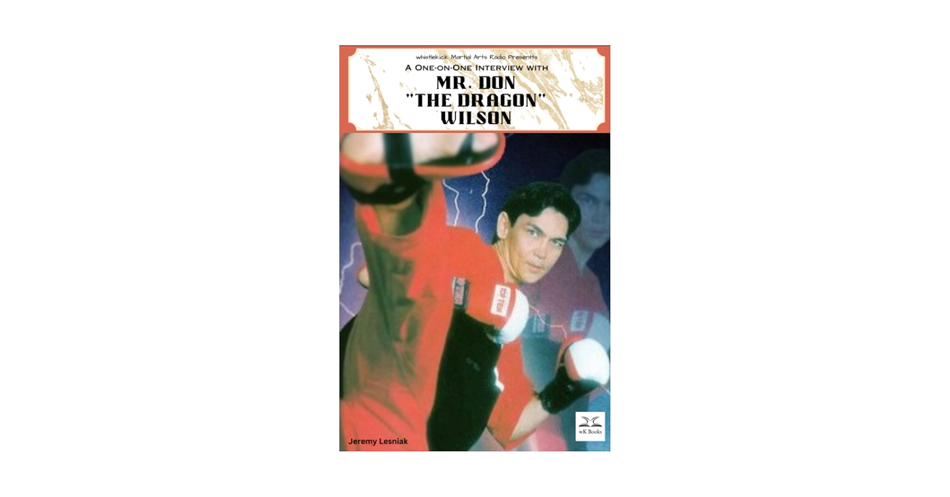 ドナウィルソン ドラゴンのダスティ Mr. Don 