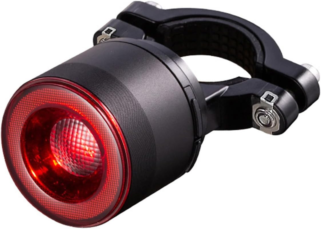 Smart Bike Brake Tail Light IP66 Waterproof, 300LM Super Bright Rear Bicycle Light, 4 Modes & 8 Brightness, Anti-Glare LED, Long Standby for Night Riding