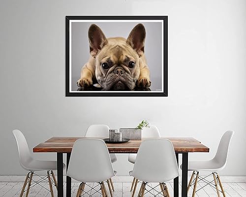 Miniatura 2 de QAZWSX Kits de pintura de diamantes 5D para adultos, arte de diamantes de taladro completo, Bulldog francés, pintura de diamantes de imitación con