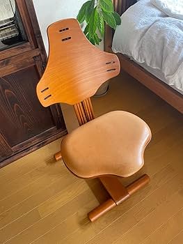 Amazon.co.jp: ノルウェー 家具 Rybo リボ社 FLEXIT フレキ