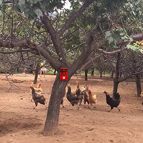 #N/a Strobe Luz de Alarme com Detector de Movimento Solar, 125db Alto Lâmpada de Som da Sirene de Se