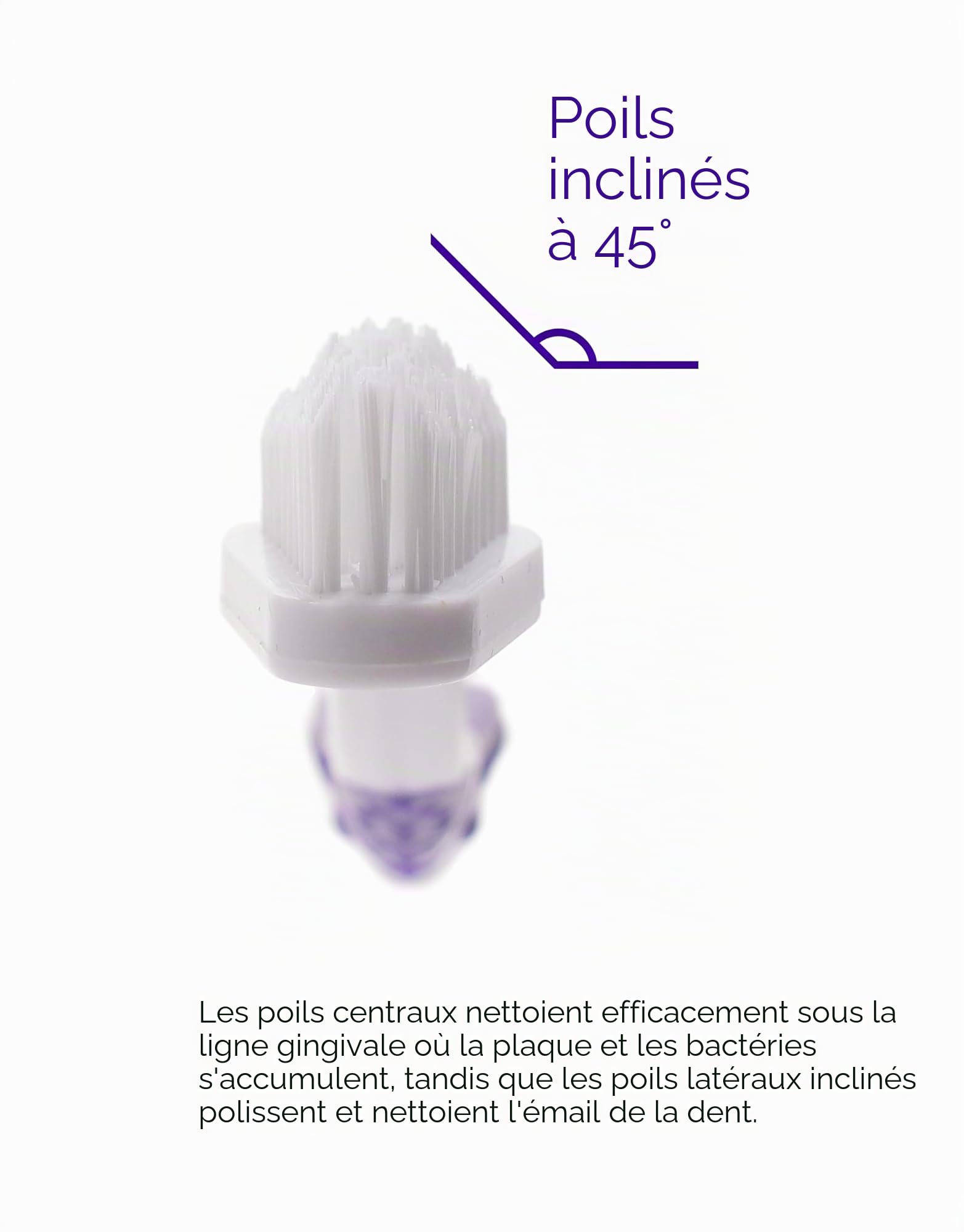 petsmile Brosse à dents professionnelle pour animaux de compagnie – Brosse à dents brevetée à 45° pour chats et chiens de petite et grande taille – Accessoires pour animaux de compagnie pour soins