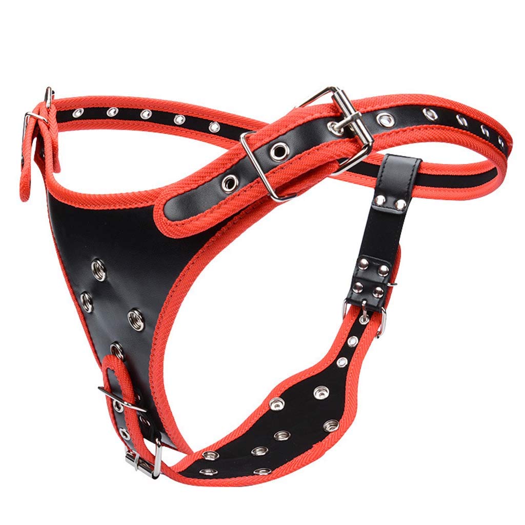 Godemichet double pénis avec ceinture pour couples lesbiens