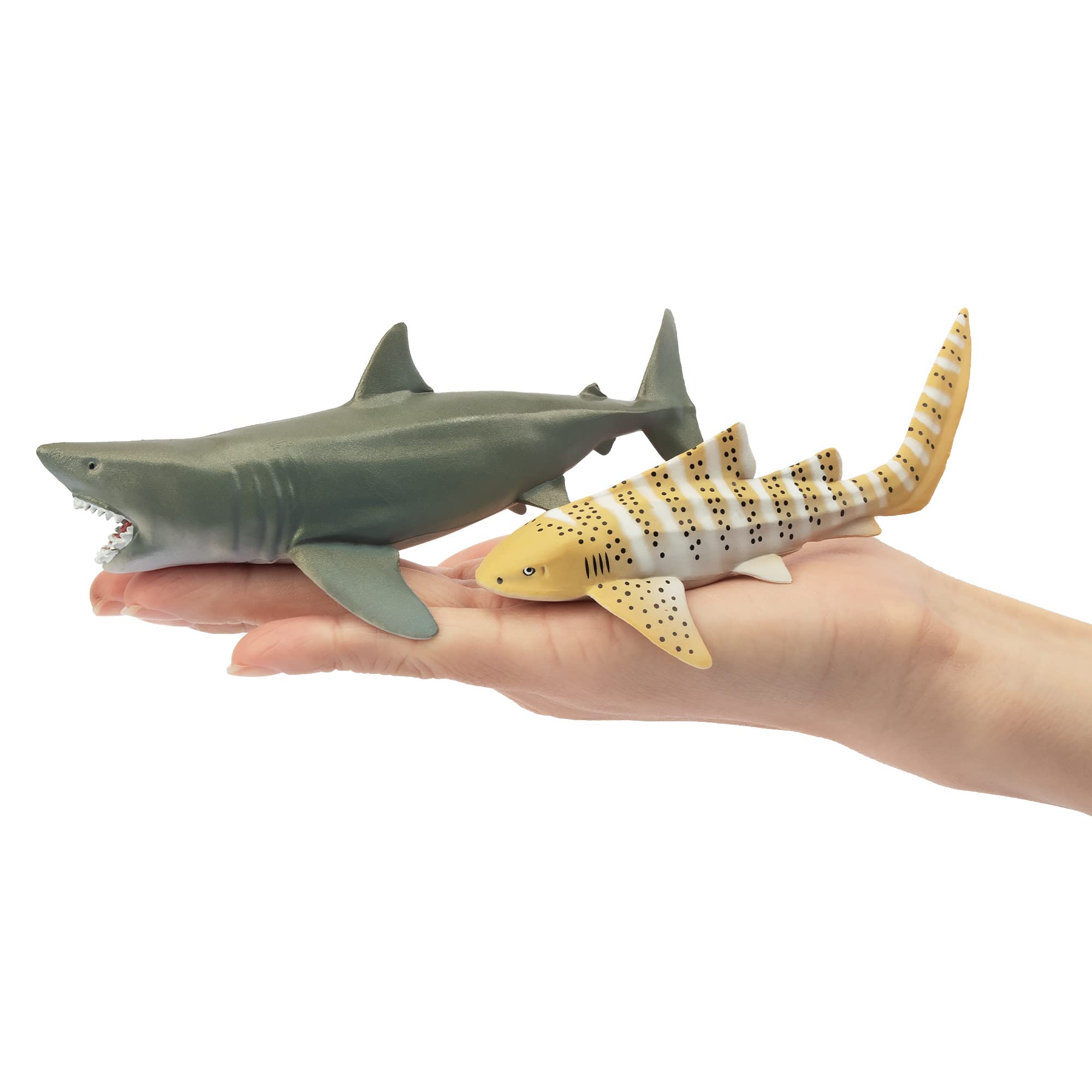 TOYMANY Set di 6 personaggi di squalo con animali marini, giocattolo da 12 a 14 cm, realistico, giocattolo di squalo per bambini, per giocare o come decorazione