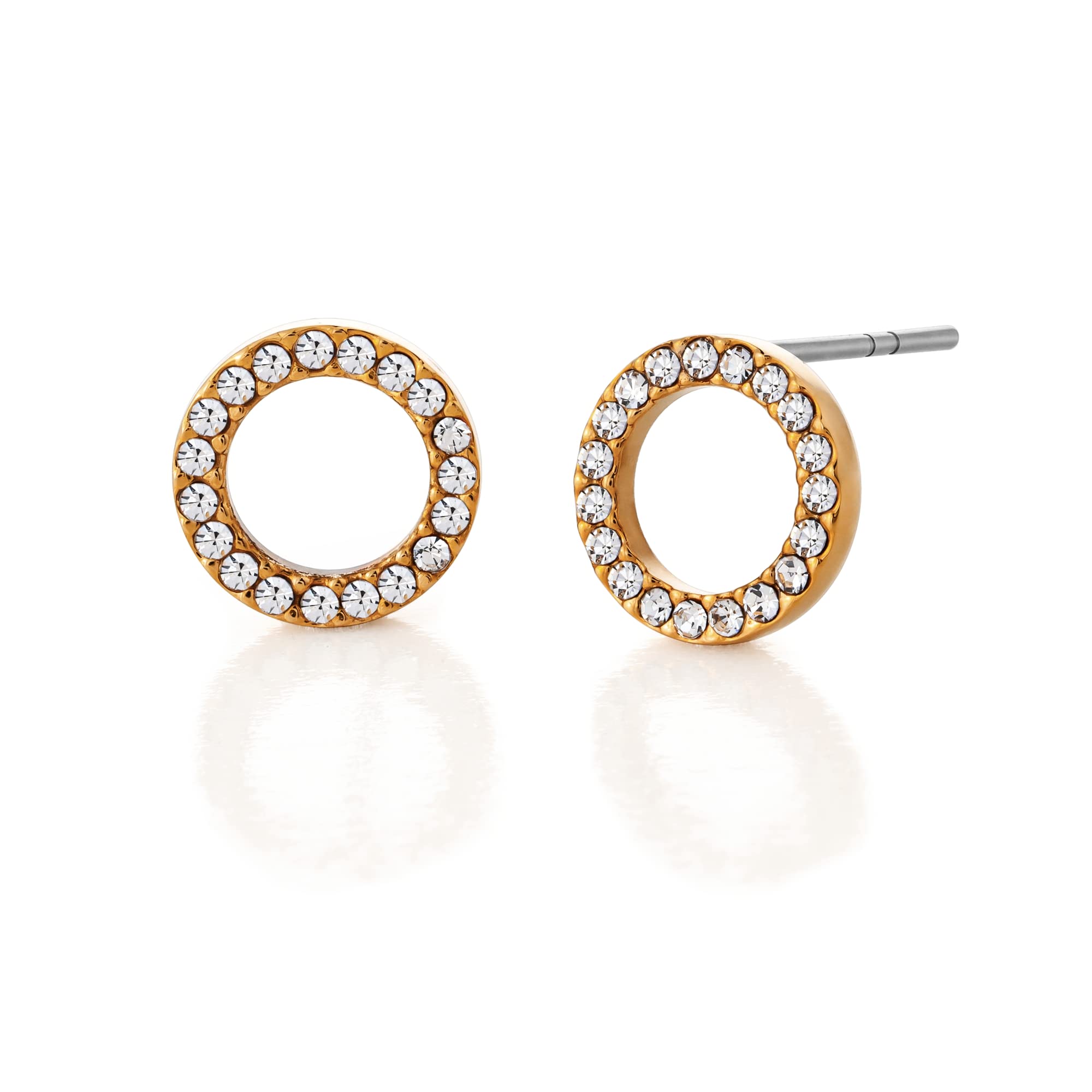 Limerencia G23 Pure Titanium Hypoallergenic Earrings, F136 Implant Grade Titanium Studs Suitable for Sensitive Ears Delicate Jewelry