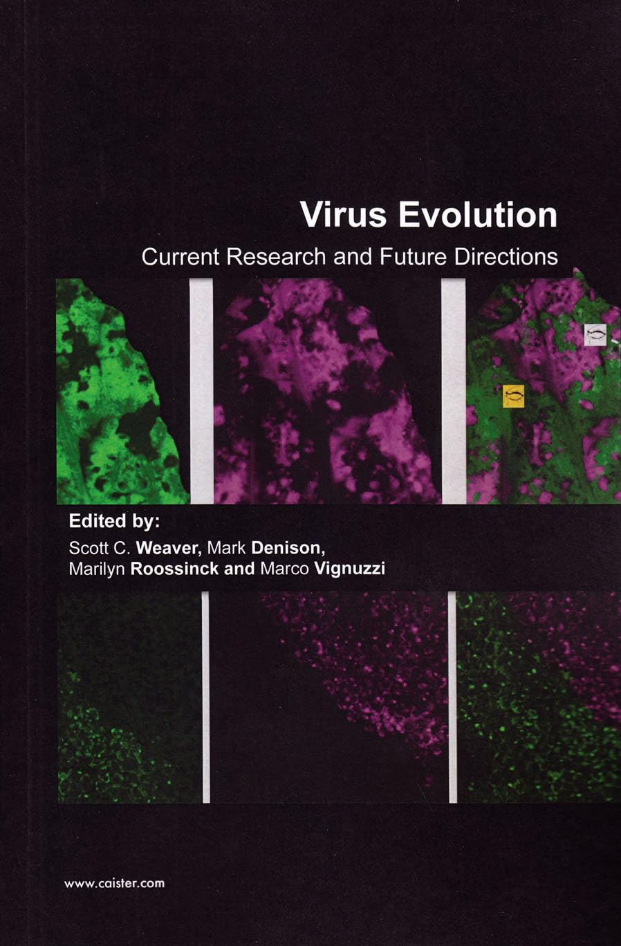 Buy Virus Evolution: Current Research and Future Directions — BookShops.in