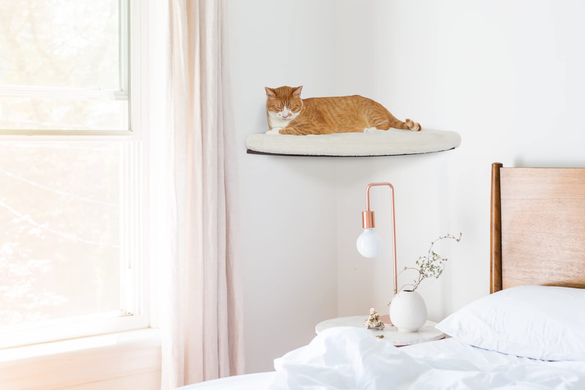 COSY AND DOZY Corner Shelf CHILL - Tablas para gatos para pared, tumbona para gatos, cama para gatos, 50 x 50, con colchón de 3 cm, para gatos de hasta 20 kg