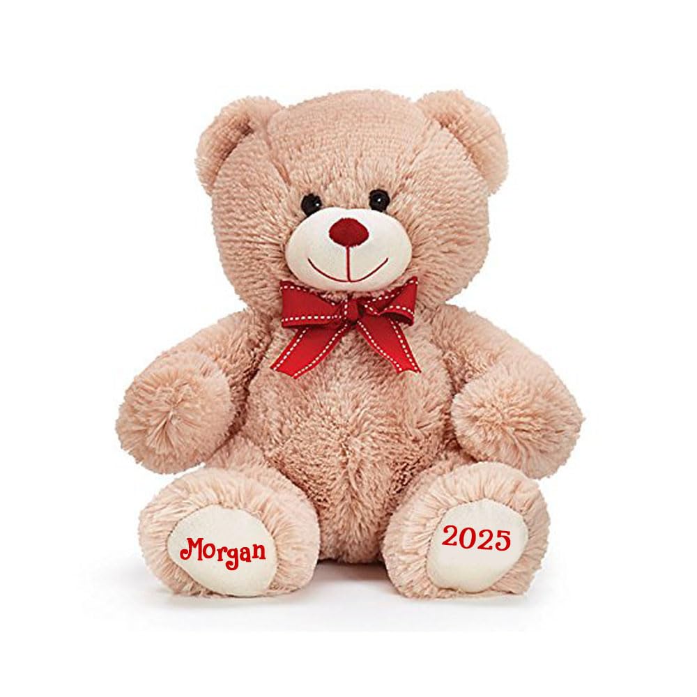 Amazon.com: burton+BURTON Personalized Valentine's Day Teddy Bear