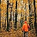 Rivers Edge Jumbo Jack 1-Man Ladder Stand, RE658, 17’1” Height, Wide Flip-Up TearTuff Mesh Seat, Jumbo Platform, Flip-Out Footrest, 2-Way Adjustable Shooting Rail