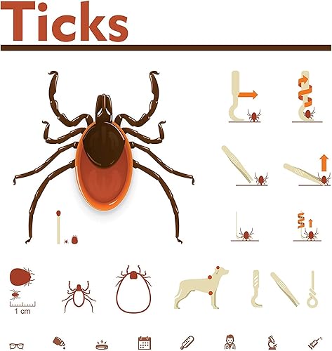 Miniatura 7 de Boao Kit de herramientas de eliminación de garrapatas, incluye 3 removedores de plástico, 3 pinzas de acero inoxidable con peine para perros y gatos