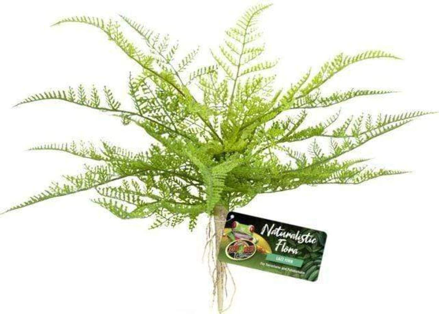 Zoo Med Naturalistic Flora, Lace Fern