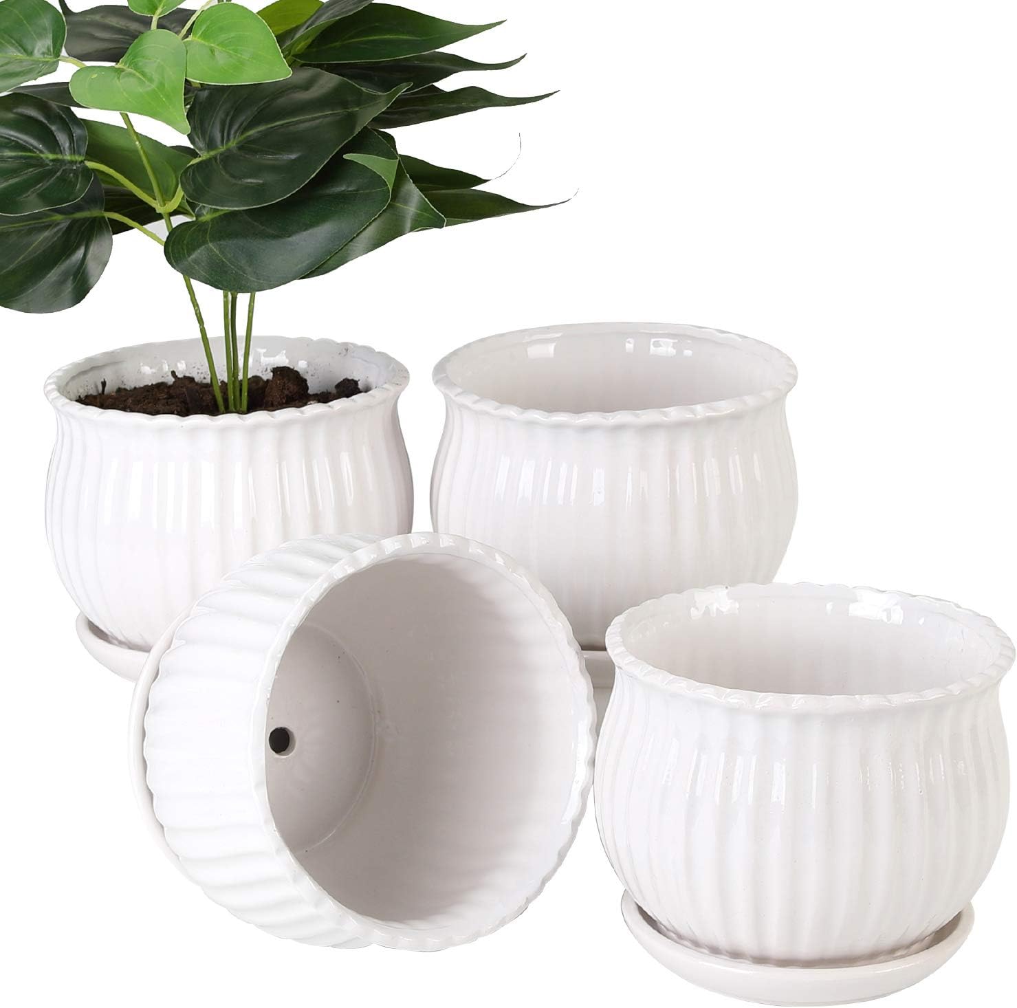 Amazon.co.jp Mother's taste BBプラントポット 5.5インチ円柱セラミックプランター 連結ソーサー付き ラウンド