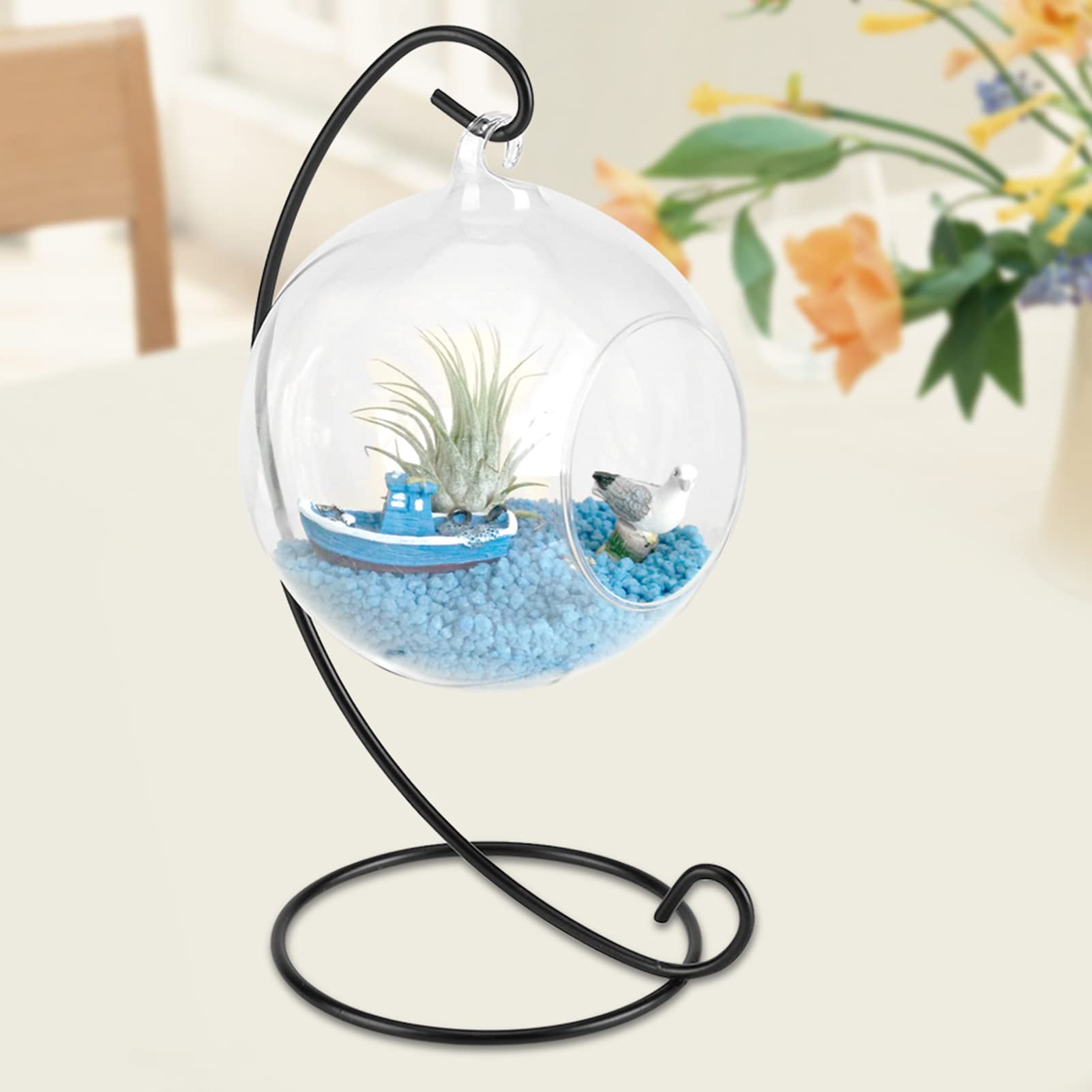 Amazon.co.jp: BORDSTRACT 壁掛け 植物 テラリウム クリアガラス