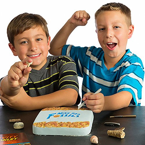 Mine for Real Fossils Science Dig Kit - Excavate 10 Genuine Prehistoric Fossils, Including Dinosaur, Shark Teeth, and More! Great STEM Learning Activity for Kids, for Girls and Boys - Thumbnail 2