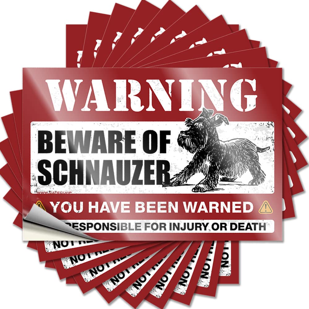 Decals Personalized | High Cover Beware of Schnauzer for Mold(12X18CM)