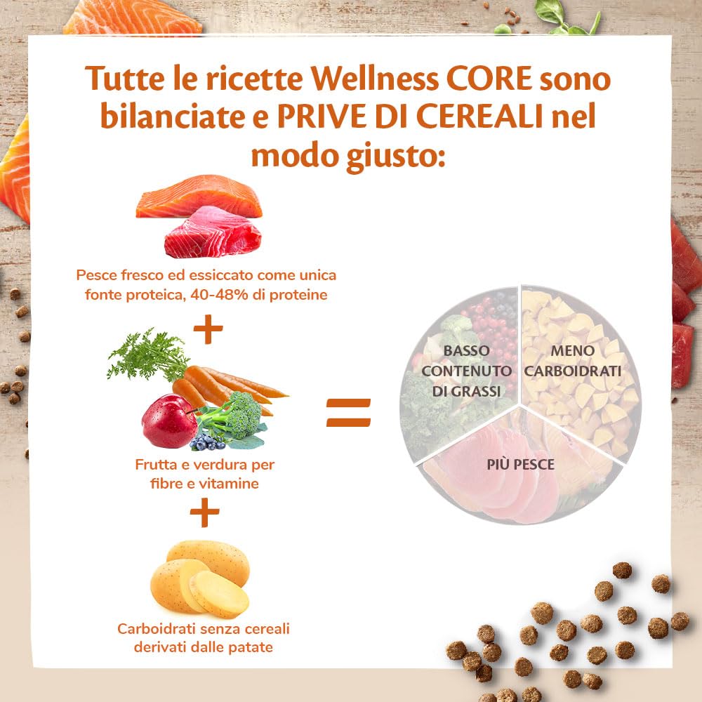 Wellness CORE Ocean 4 kg, Salmone/Tonno – Crocchette per Gatti Adulti, Senza cereali, Naturale, Ipoallergenico, Ricco di Proteine, Alto Contenuto di Pesce, Pelle Sana & Pelo Lucido